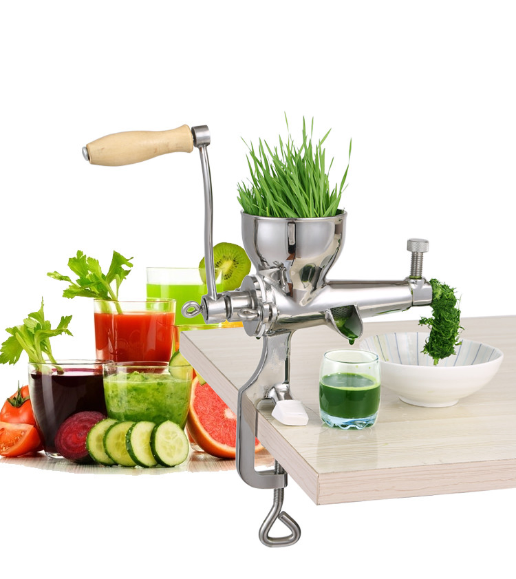 Hot Sale Manual Mini Fruit Machine Hand Vegetable Juicer