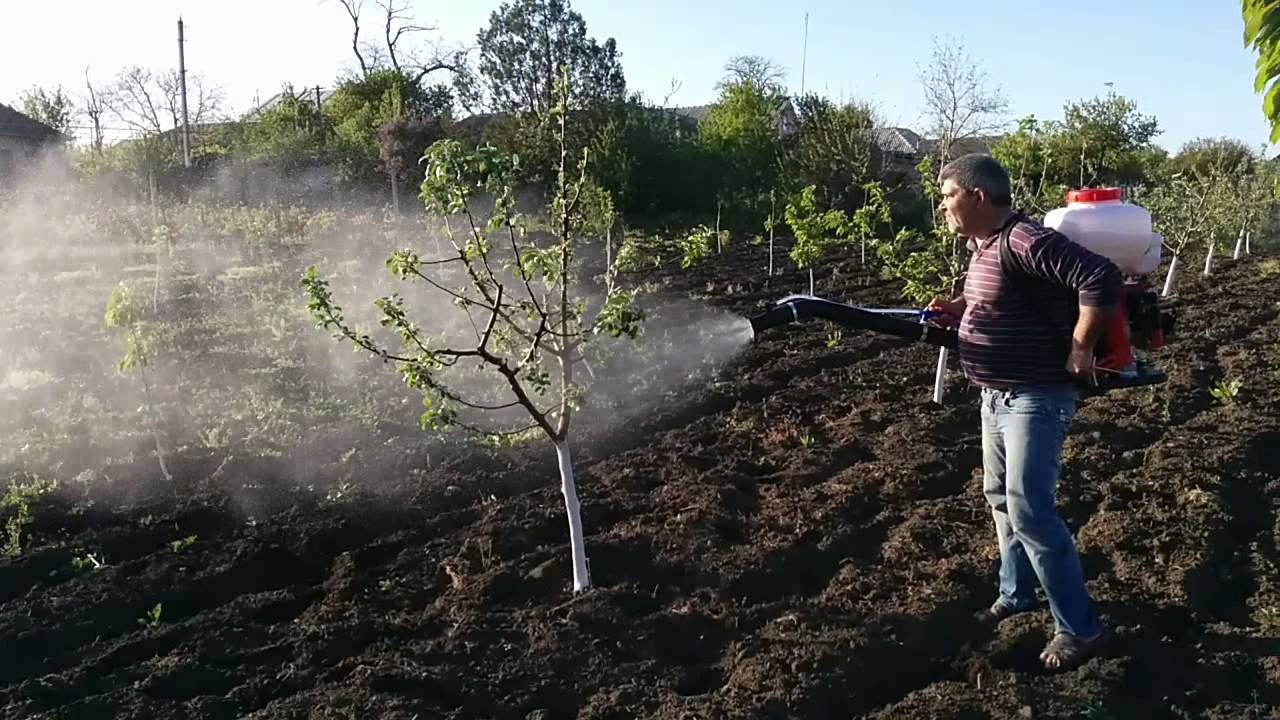 3wf-11 Mist Duster, Sprayer, Agriculture Sprayer