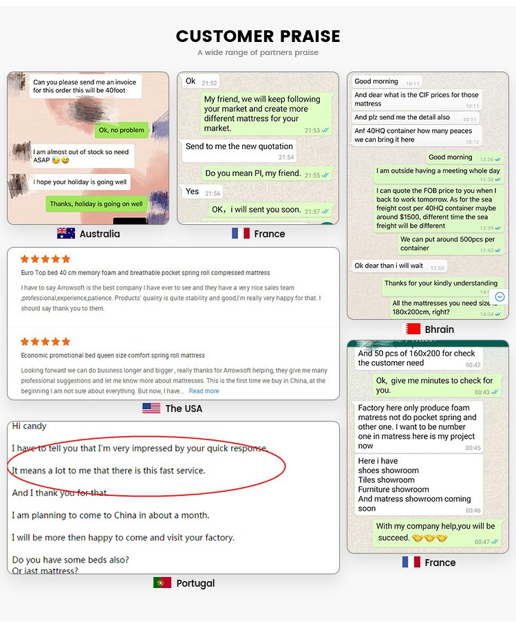 Great Standard Latest Design Eco-Friendly Queen Size Bed Mattress