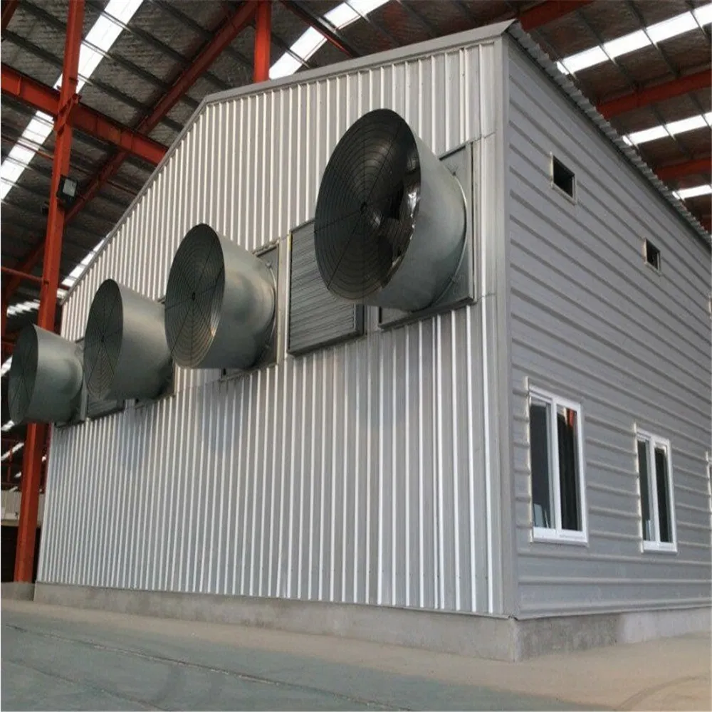 Automatic Reliable Steel Structure Poultry House for Chickens in All Weather