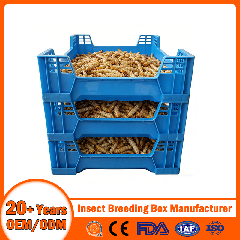 China Plastic Insect Breeding Box Manufacturer Stackable/Attached Lid/Nestable/Lobster/Bale Arm/EU/Euo Moving Mesh Turnover Logistic/Bread/Egg/Beer Tote Box