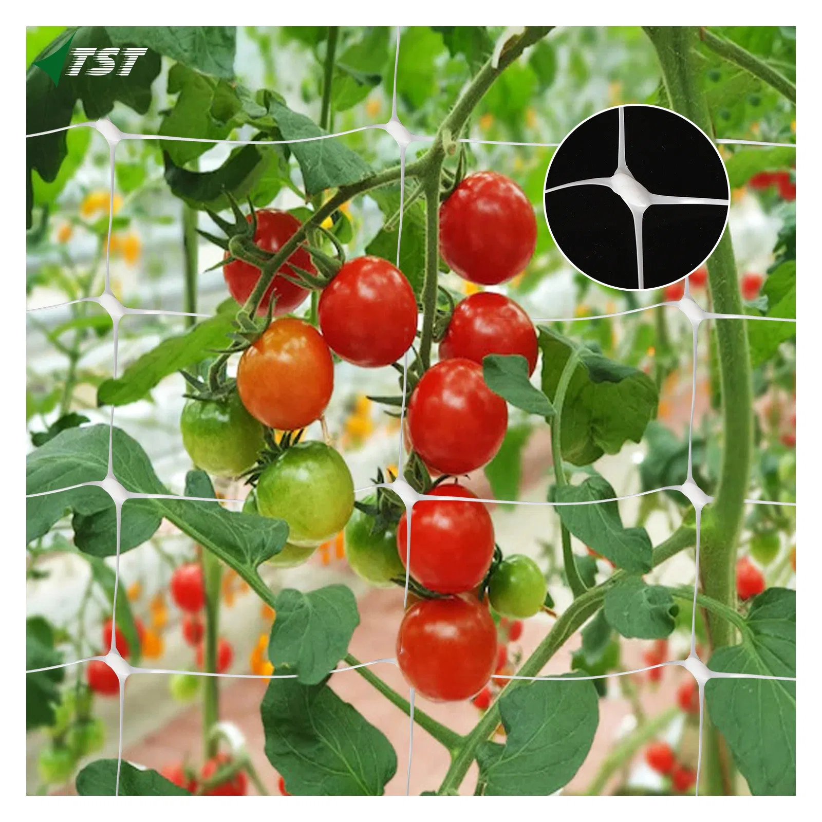 6-Inch Square Mesh PP Plastic Plant Trellis Support Net for Vertical Gardening