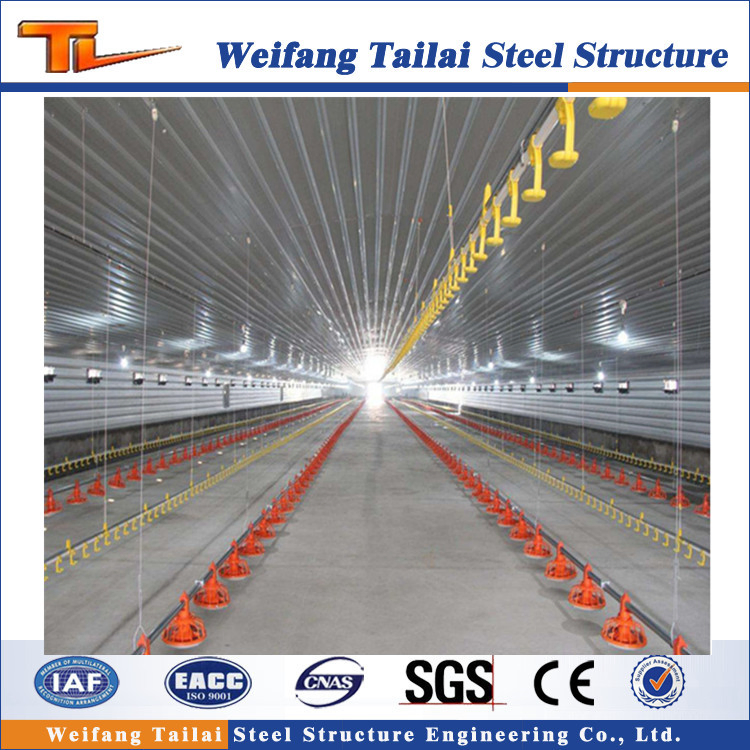 Steel Structure Fiberglass Sandwich Panel Poultry Chicken Farm House