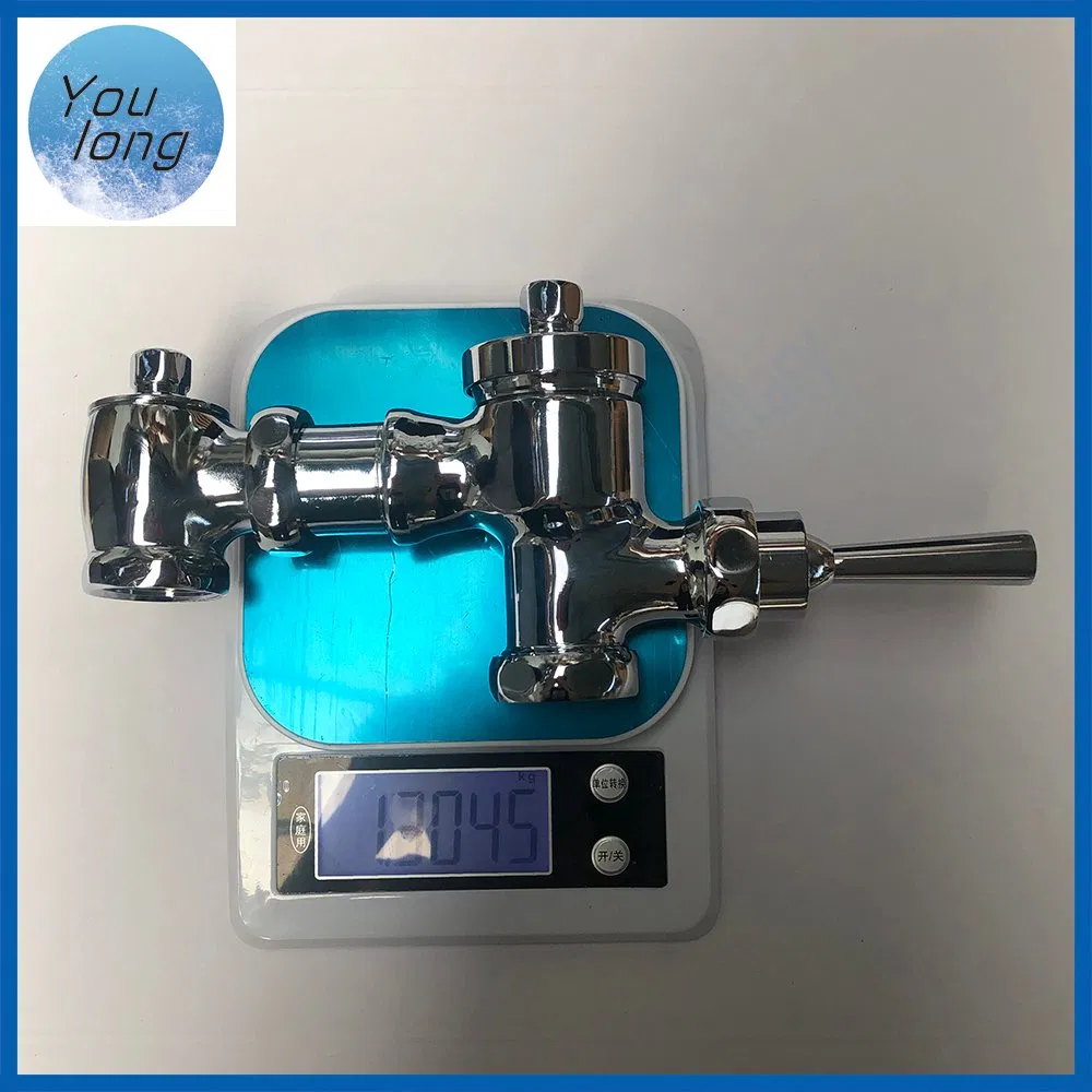 High Quality Handle Wall Mounted Self-Closing Concealed Toilet Flush Valve