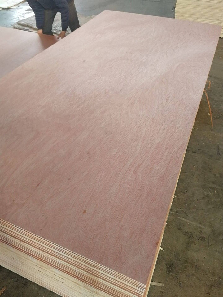 BB/CC Grade Plywood/Bintangor Plywood