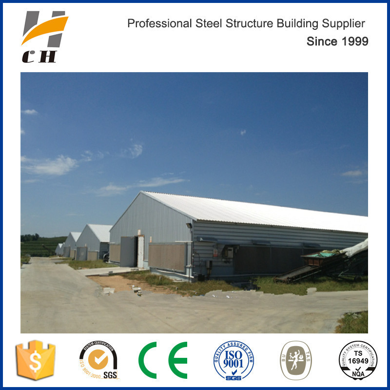 Light Shed Steel Roof Layer Chicken House Design