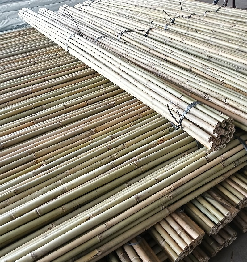 Cucumber, Beans, Tomatoes, and Small Bamboo Poles/Supporting Bamboo Pole