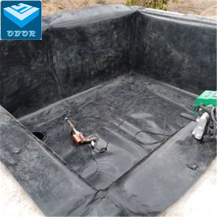 ASTM HDPE Sheet Geomembrane for Prawn Shrimp Farm
