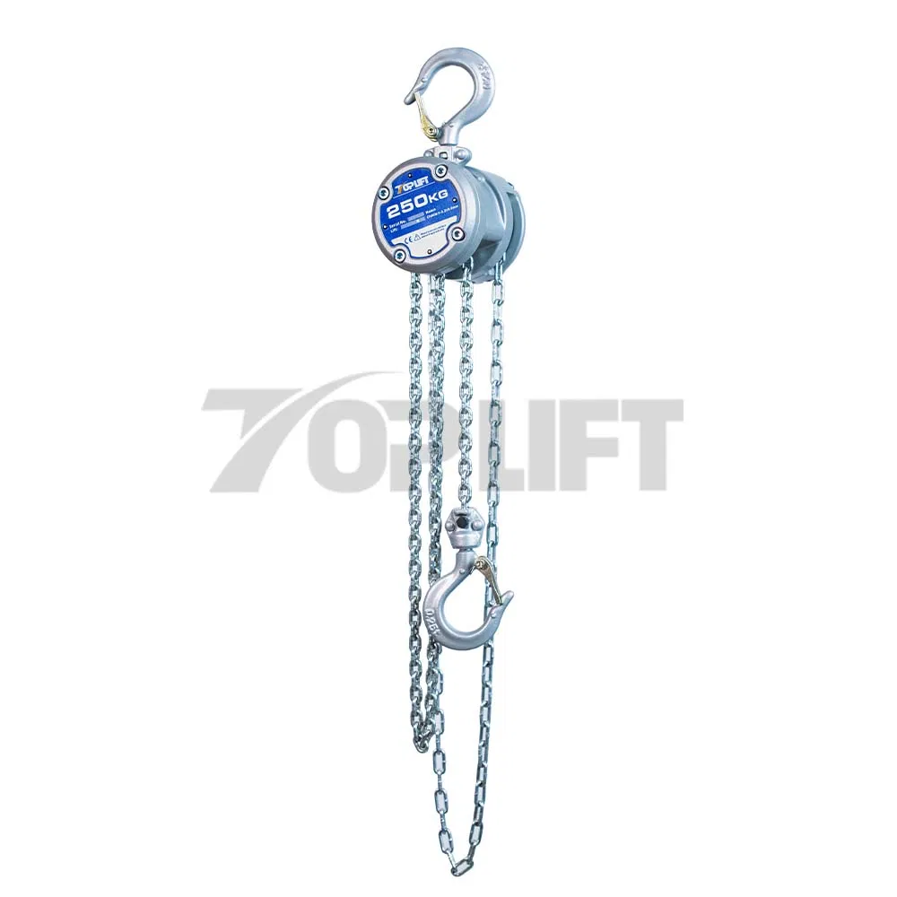 250kg Load Capacity Manual Pulley Chain Hoist Chain Block for Lifting