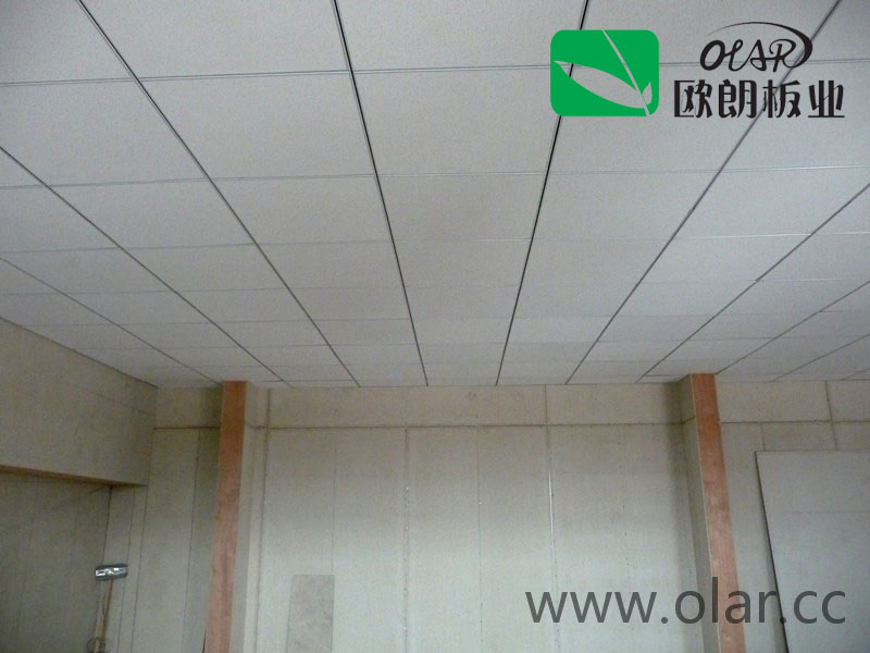Fiber Cement Board Hotsale 600*600mm Decoration Ceiling Board