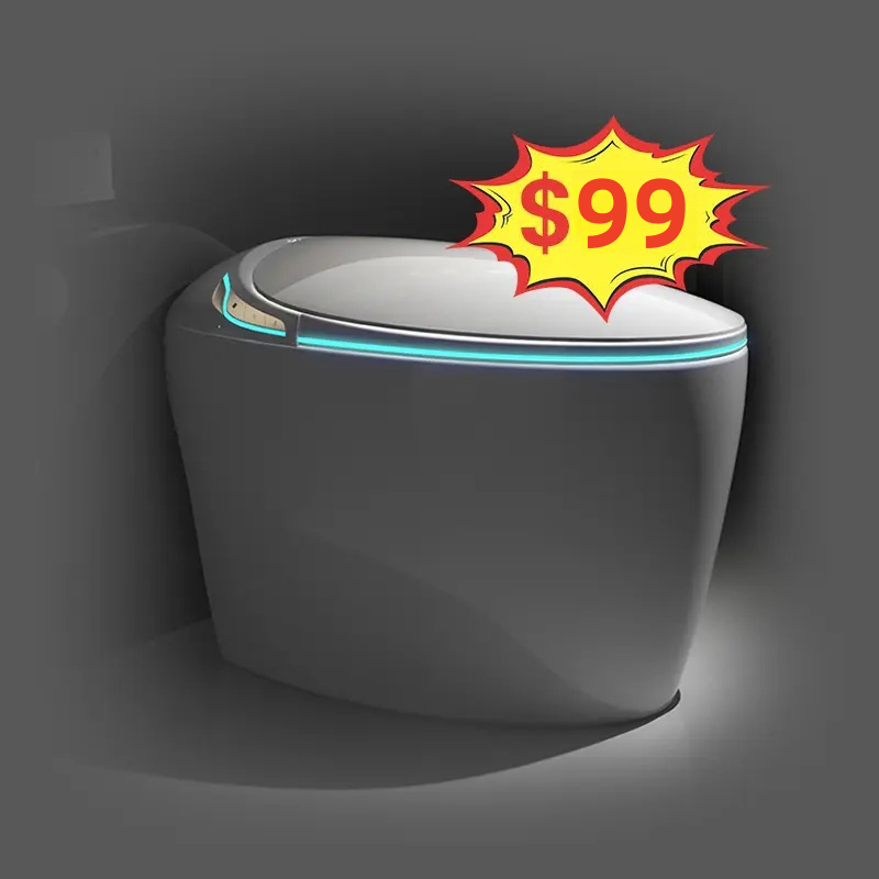 Promotional Egg-Shaped One-Piece Fully Automatic Smart Intelligent Toilet with Front Washing