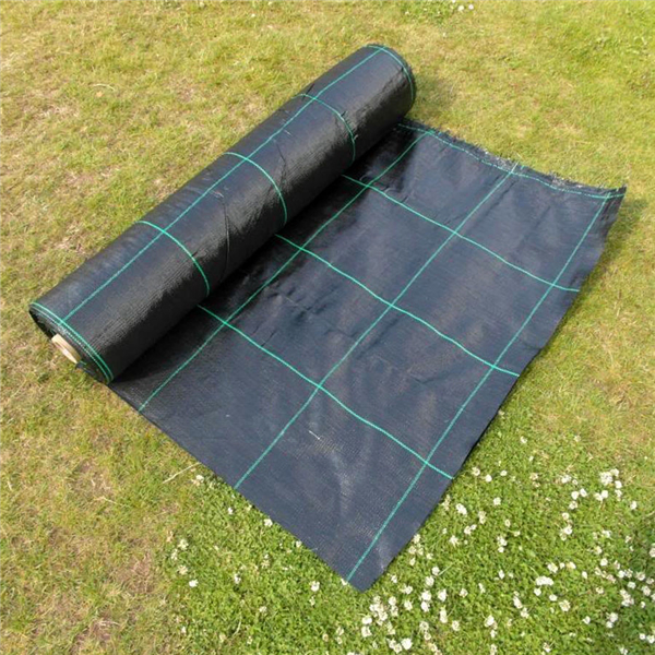 PP Woven Fabric Greenhouses Weed Mat Black Mat