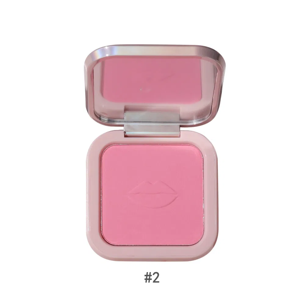 Private Label High Pigmented Blusher Powder Contour Highlight Powder Long Lasting 6 Colors