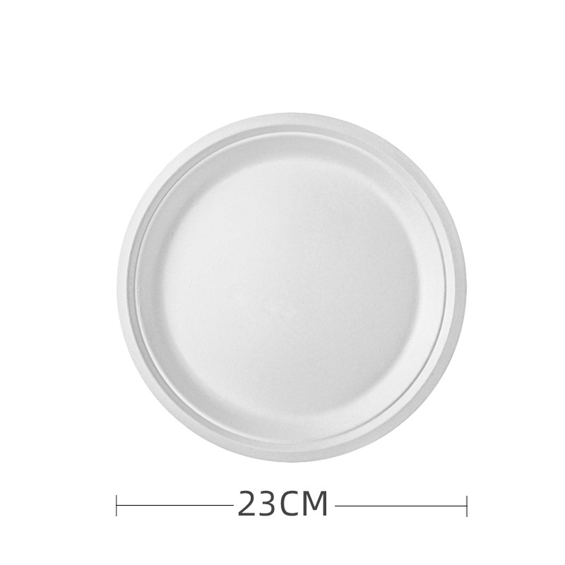 Hot Sale Disposable Sugarcane Pulp Bagasse Paper Plates