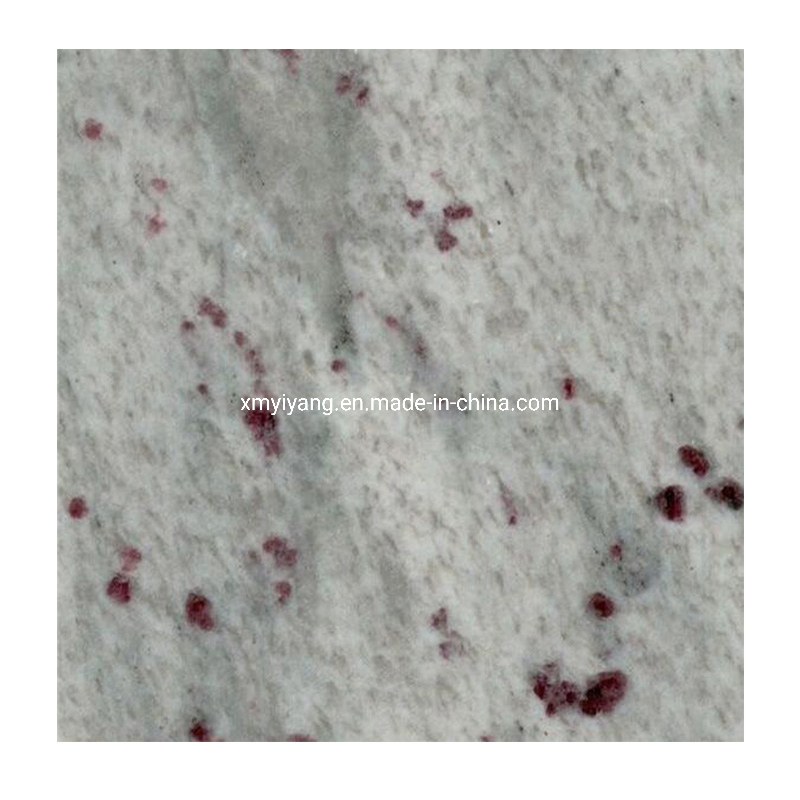 Jasmine White Granite Slab/Tile/Countertop Polish/Honed/Flamed Surface Kitchen Worktop Wholesale Price