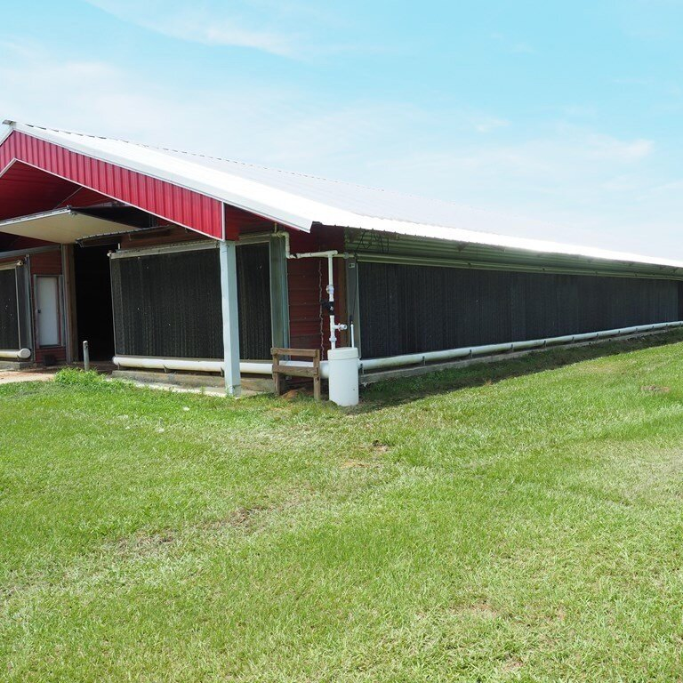 Durable Steel Farming Tools for Optimal Broiler Production Efficiency