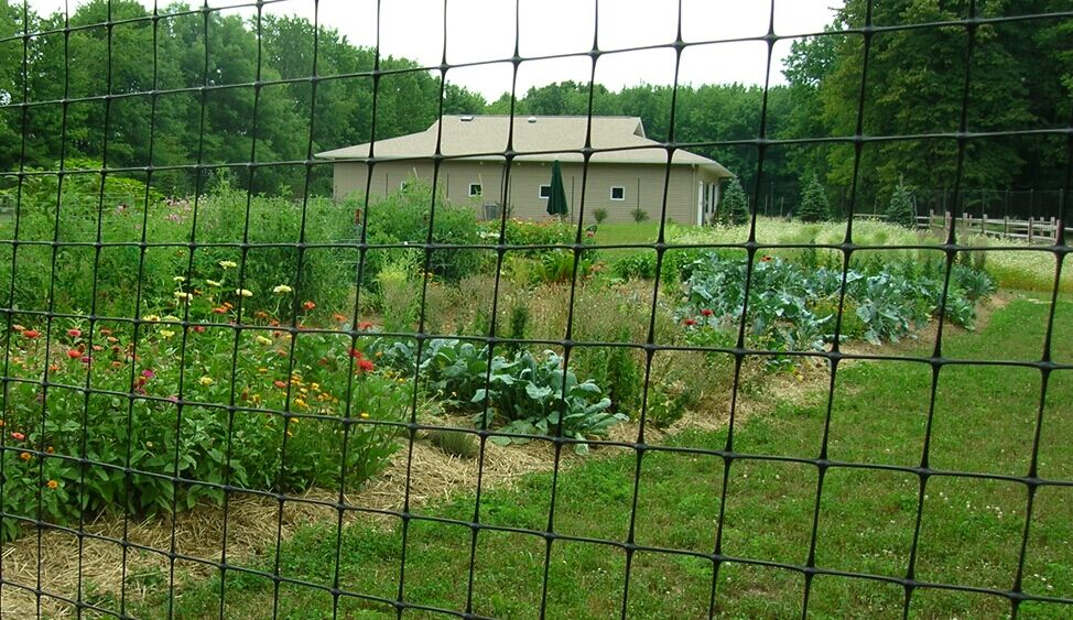Plastic Deer Fence for Protecting (R-WLW)