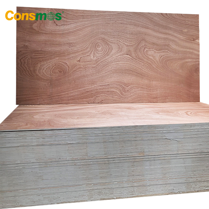 Comsmos 4X8 2mm/3mm/9mm/18mm Sapele Wood Veneer Commercial Plywood for Furniture/Construction
