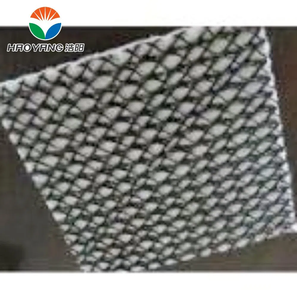 Wastewater Treatment Drainage Geonet, with PP Pet Geotectile
