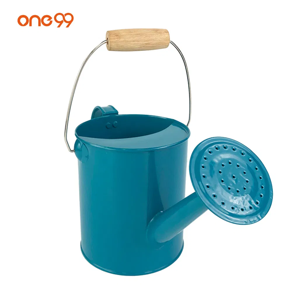 One99 1.6L Kids Watering Can Two Handles Watering Can Real Metal Garden Kids Water Pot