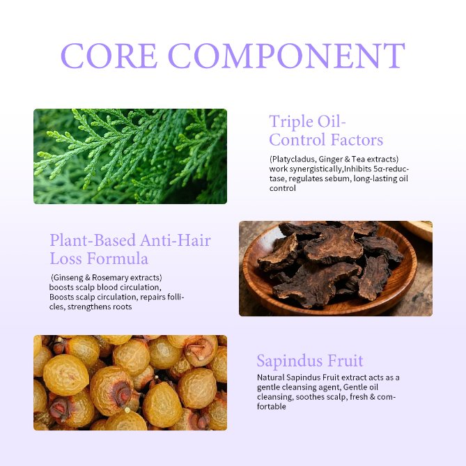 OEM/ODM Regulation Seborrheic Scalp Long-Lasting Oil-Control Anti-Hair Platycladus + Ginger + Tea Triple Oil-Control Sapindus Fruit Ginseng Rosemary Scalp Spray