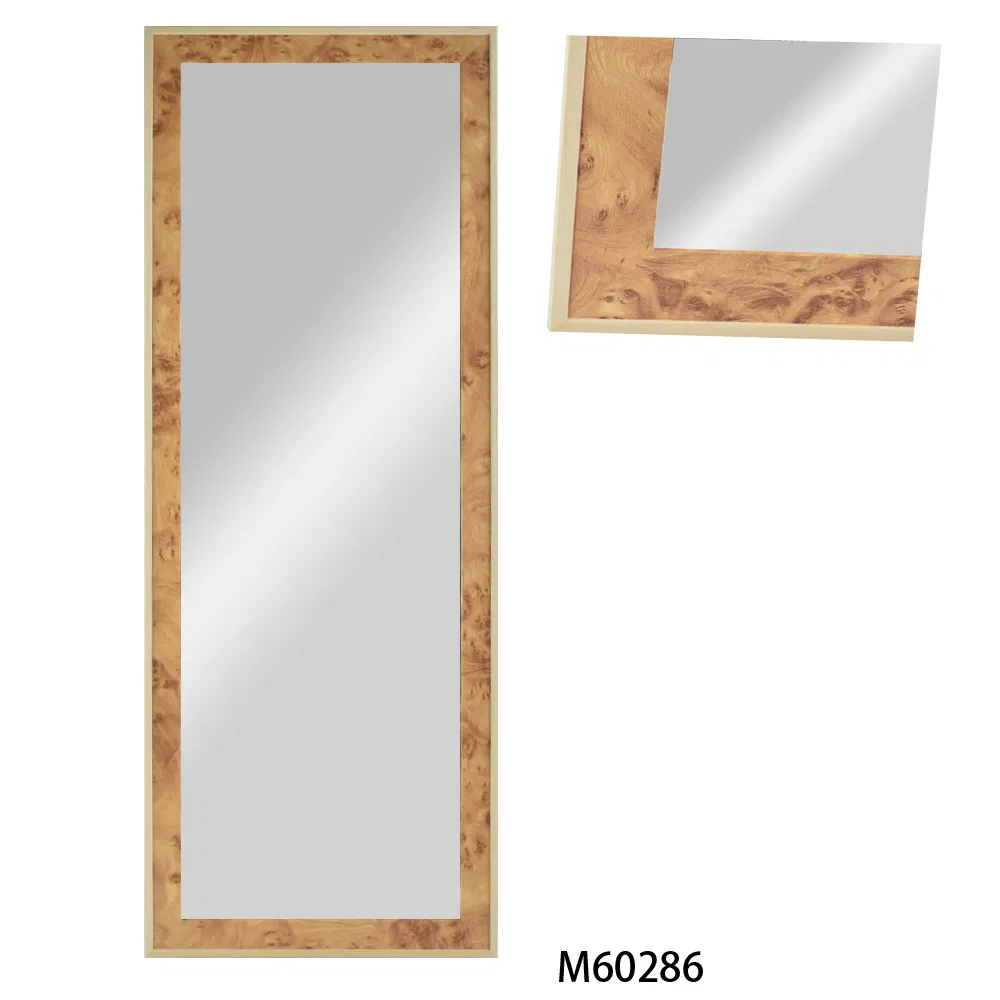 Over The Door Mirror Full Length Hanging 30X120 Cm Door Mirror