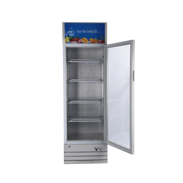 LC-268 Litters Upright Showcase with Glass Door and 12V DC Compressor