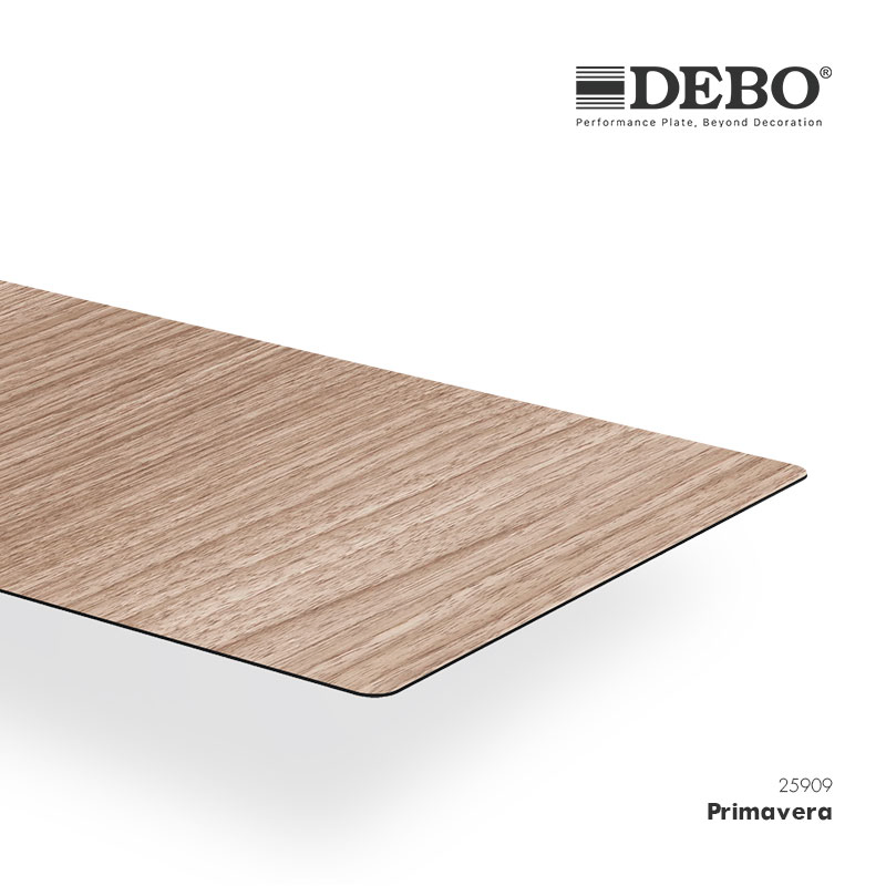 Debo HPL Toilet Partition for Education