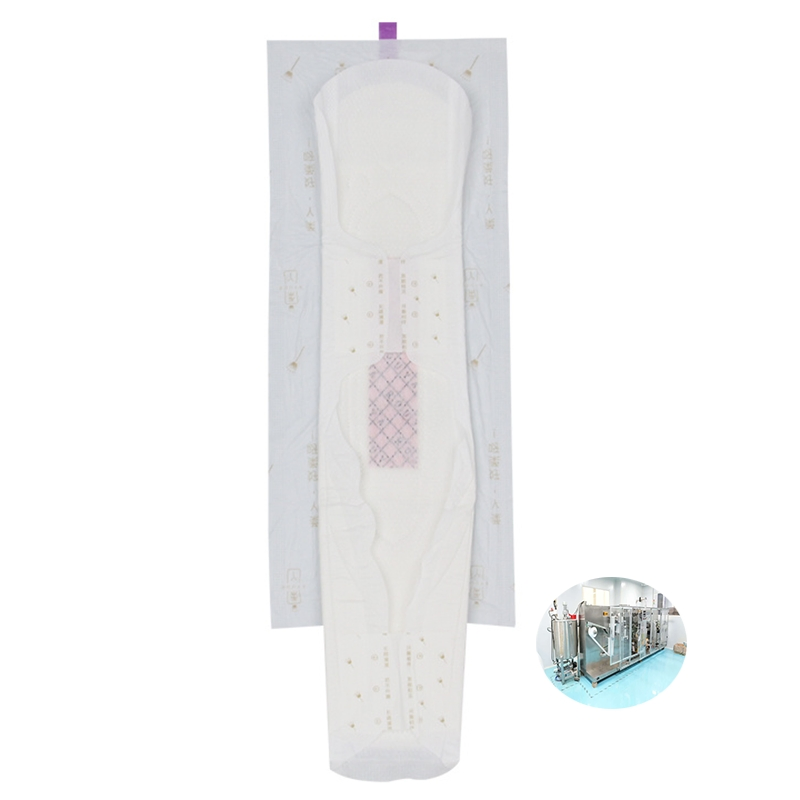 Gentle and Absorbent Sanitary Napkins for Daily Use