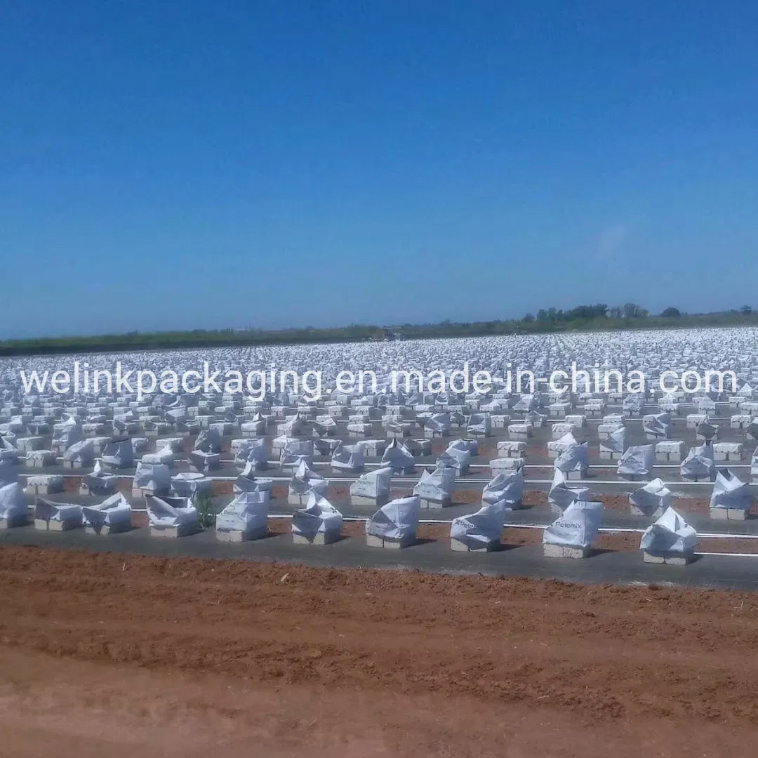 SGS Brc Certified Manufacturer Garden Farm Hydroponic UV Blocked Ground Cover Agrotextiles PP Woven Fabric Weed Control Fabric Weed Stop Fabric Weedmat