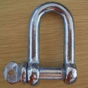 High Quality Stainless Steel DIN Type Dee Shackle 304