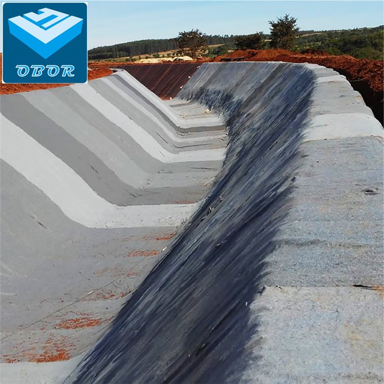 Landfill Project Geosynthetic Clay Liner Gcl Geonet Geocomposite Geotextile HDPE Geomembrane