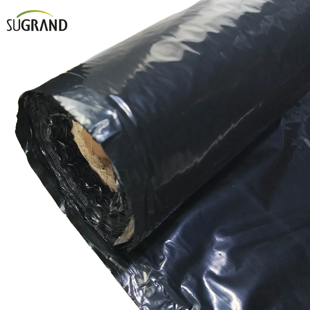 Biotelo Biodegradable Mulch Film Mulching