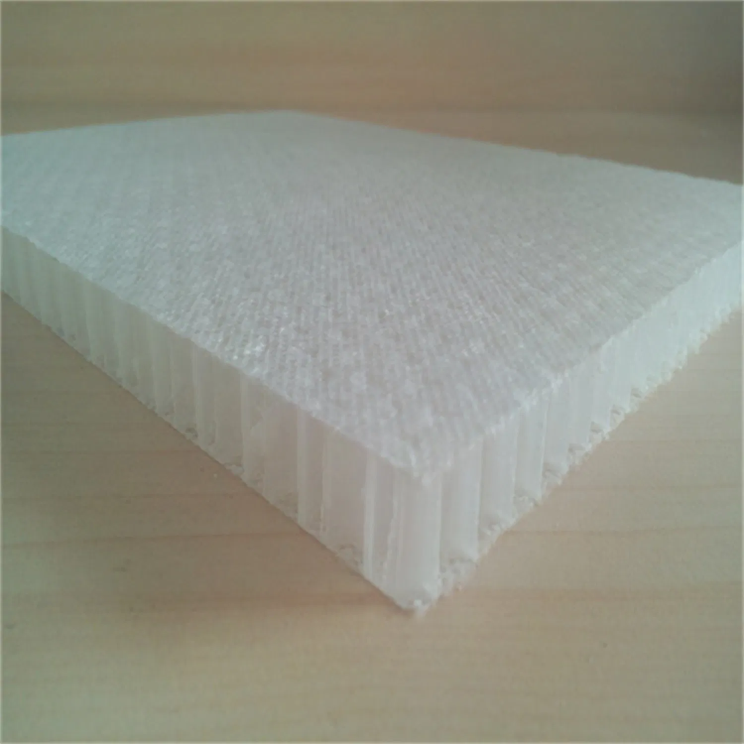 PP Honeycomb Core for Van Vehicle with High Strangth