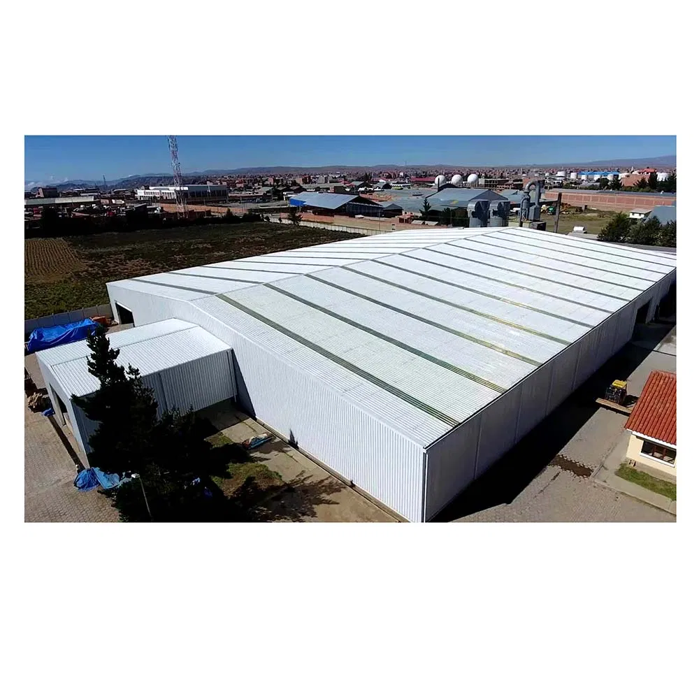 Steel Structure Single Slope Metal Building