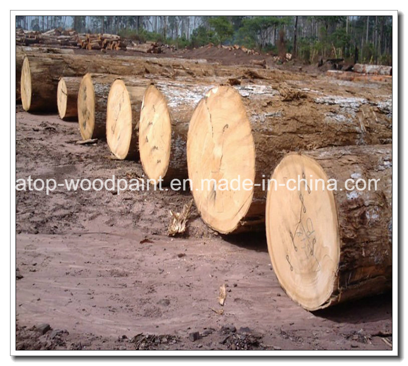 Madera De Okume Okoume Veneer