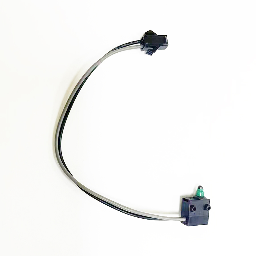Waterproof Micro Switch for Gas Water Heater Junkers