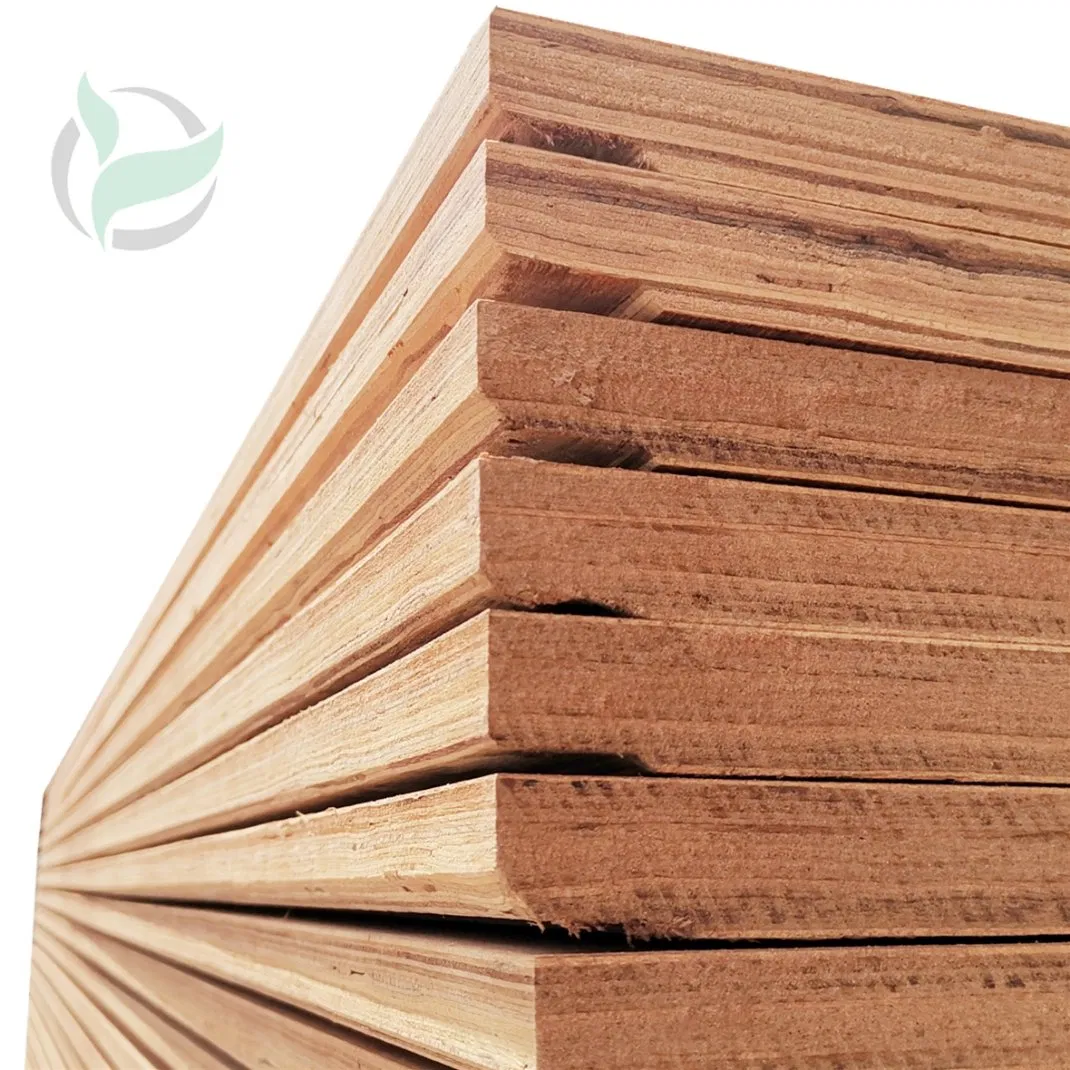 High-Quality 28mm Waterproof Birch Plywood for Shipping Containers