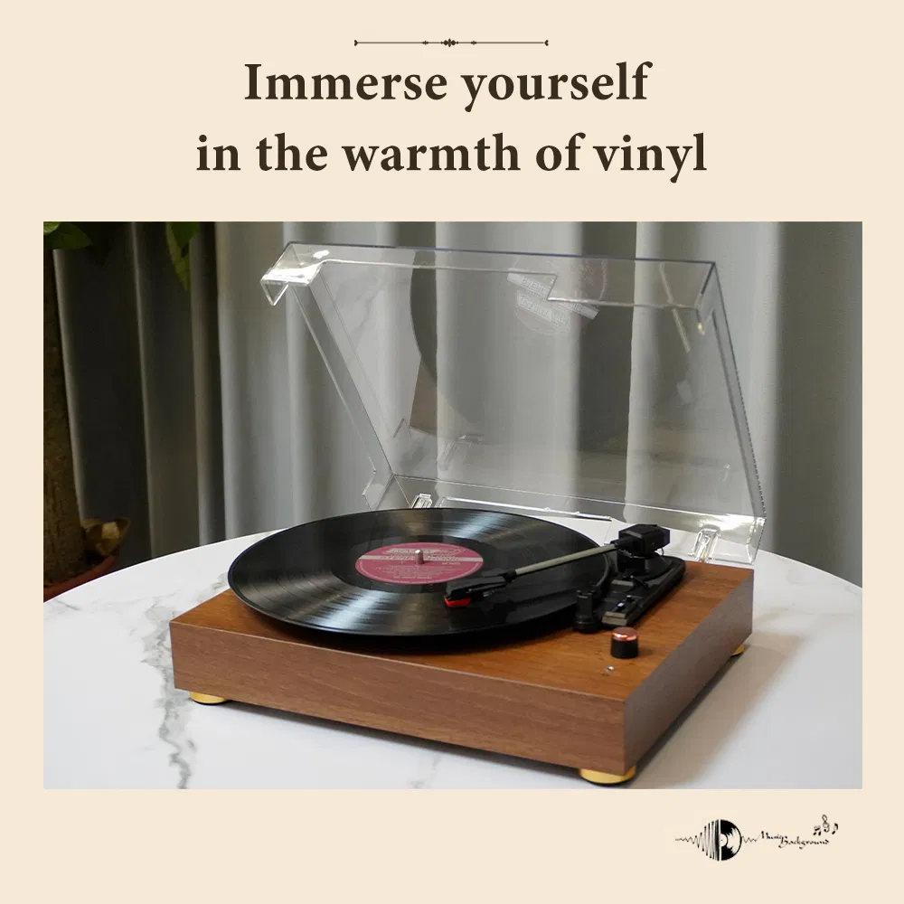 Custom Bluetooth Turntable Music Vinyl Record Player Gramophone 3 Speed Vintage Vinyl Lp Record Player