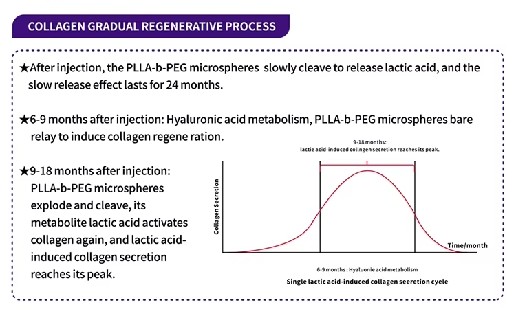 Dermeca Anti-Wrinkle Injectable Polylactic Acid Filler for Skin Rejuvenate