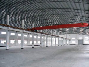 Steel Garden Shed/Poultry Shed/Prefab Steel Shed (DG6-020)