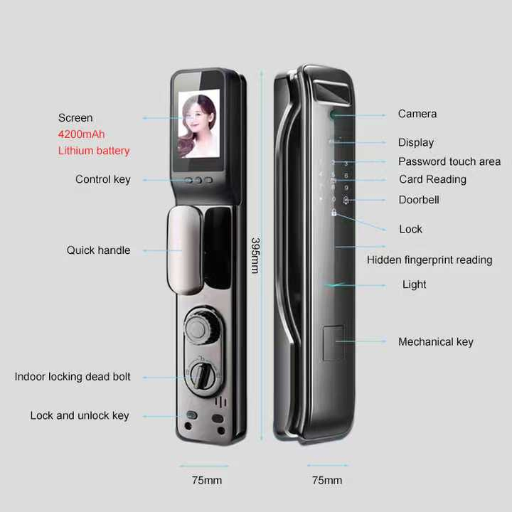 Russian Fingerprint Handle Mortise 6085 Latch Doors Locks for Front Door
