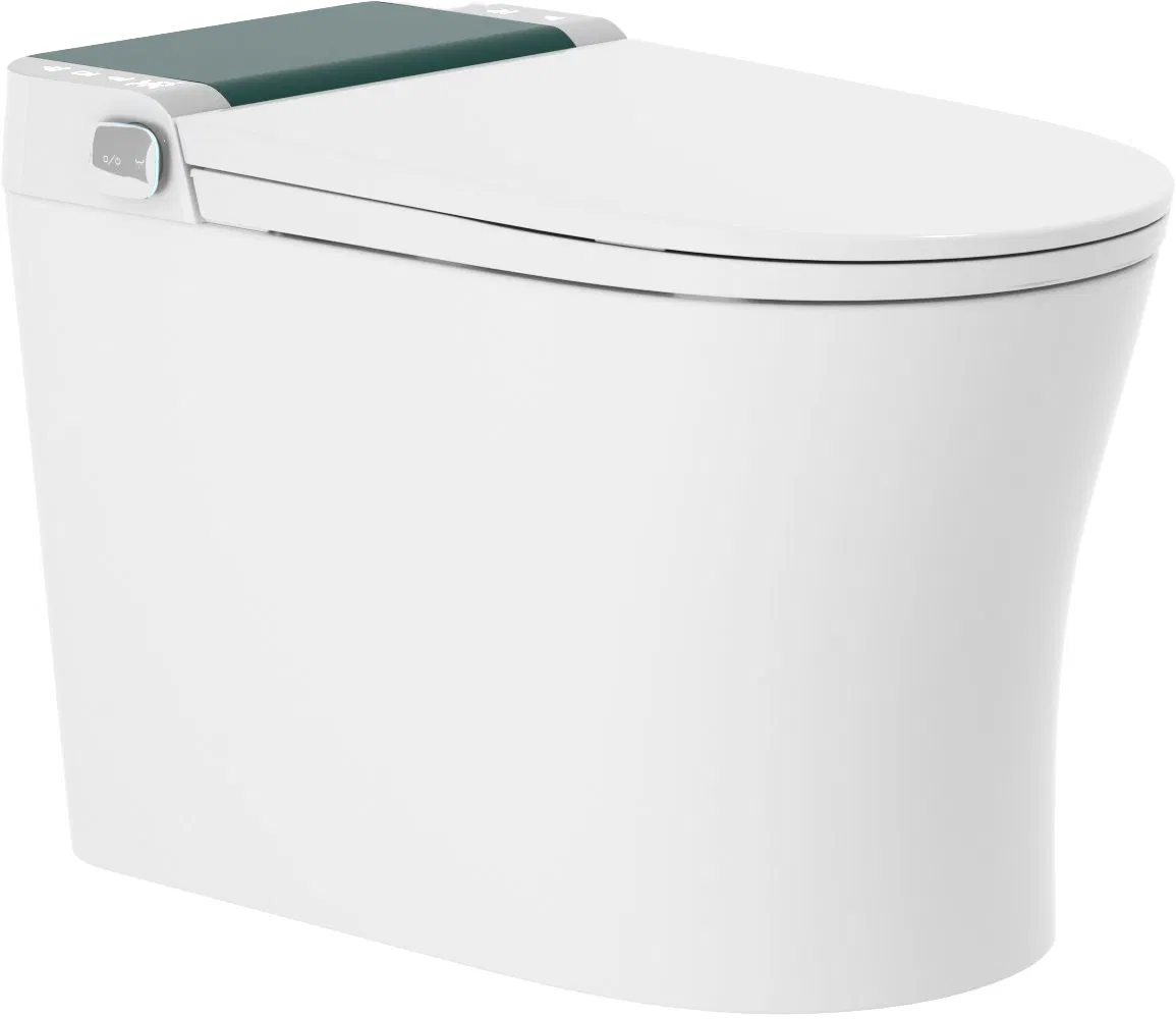 Hot Selling Fashionable Intelligent Toilet