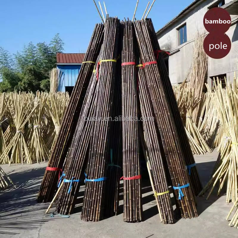 Garden Black Bamboo Canes 4FT 6FT Pole Yard Farm Home Decoration