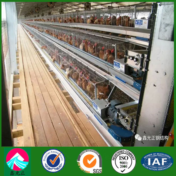 Prefabricated High Quality Poultry House with ISO/SGS Certificate