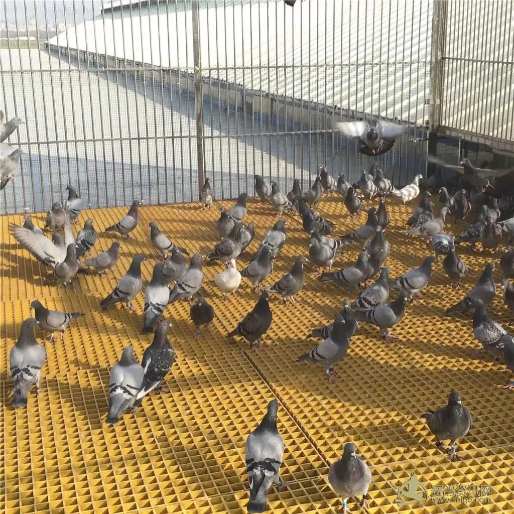 Fiberglass Mesh Walkway Floor Composite GRP FRP Grating 20mm 38mm 40mm 50mm Mesh Size for Chemical Plant Applications