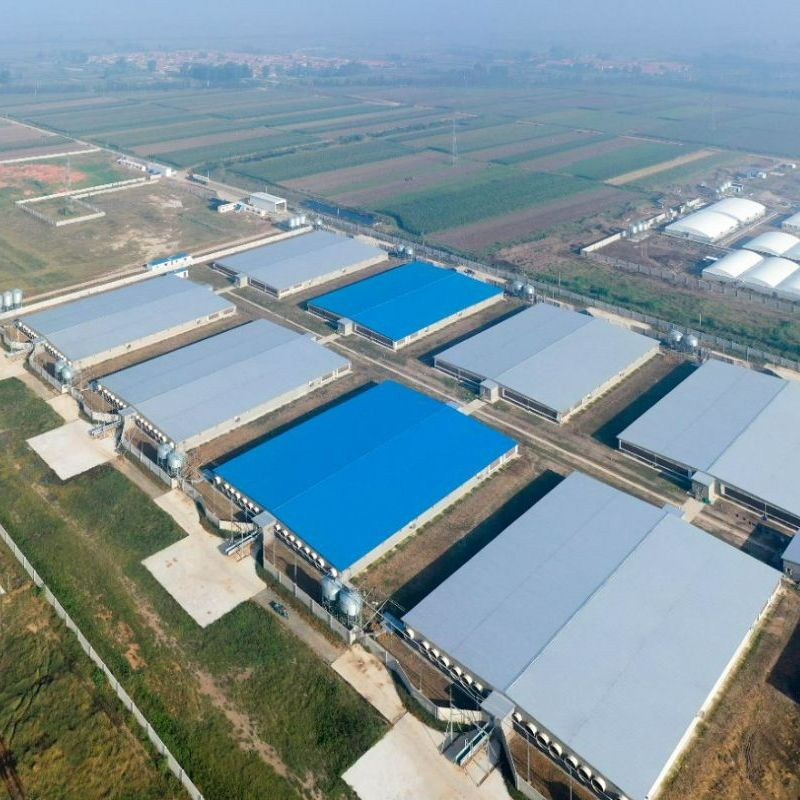 Engineered Steel Structure Project Frame 3s/4s Car Showrooms/Car Shops