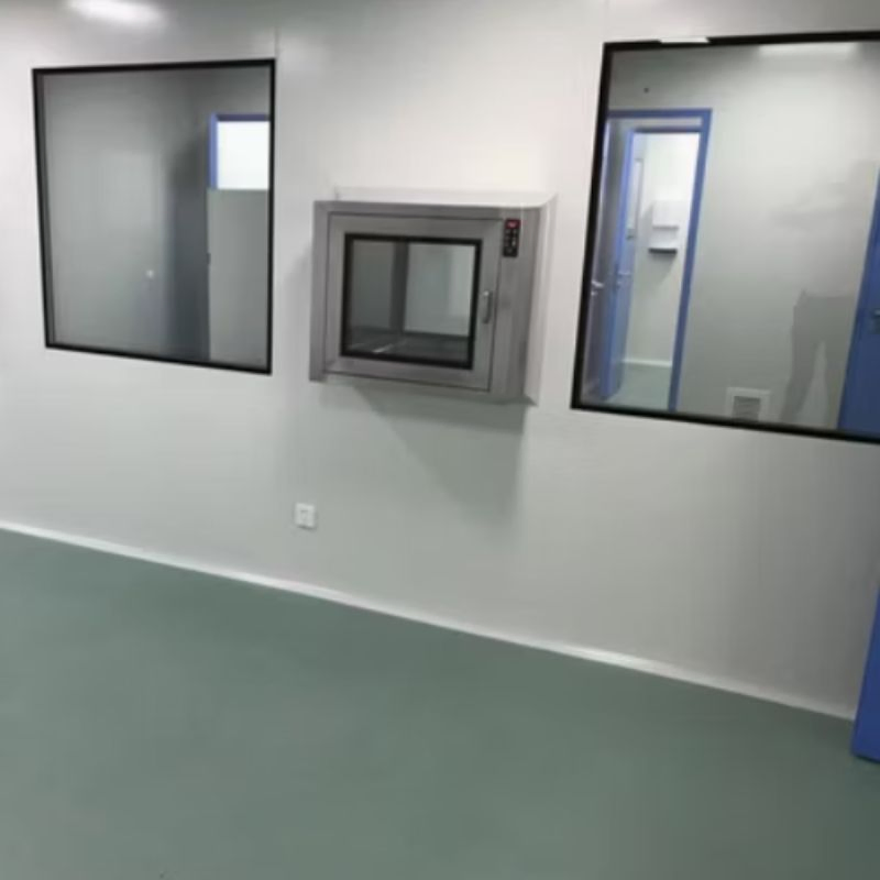 Customized Clean Window for Food Factory