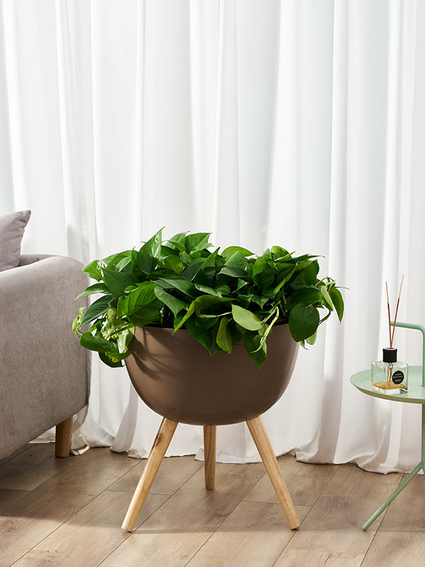 Plastic Flower Pot with Self Watering System for Home Decoration