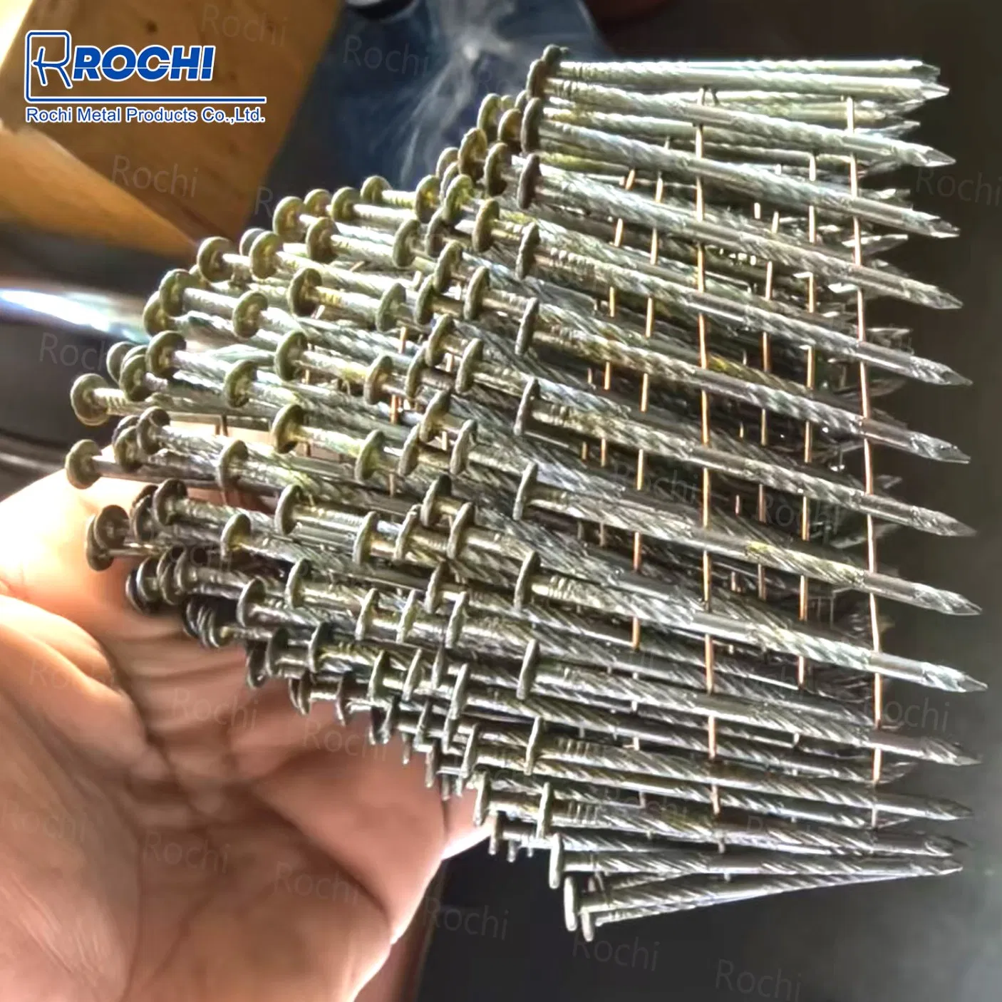 Hot-Dipped Coil Nail for Shed Building with Anti-Corrosion